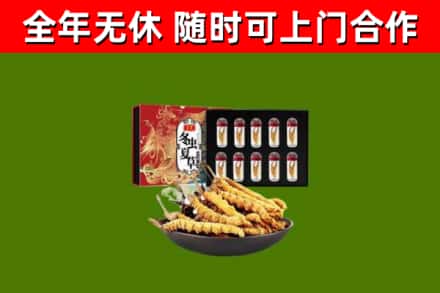 崇明回收冬虫夏草价格